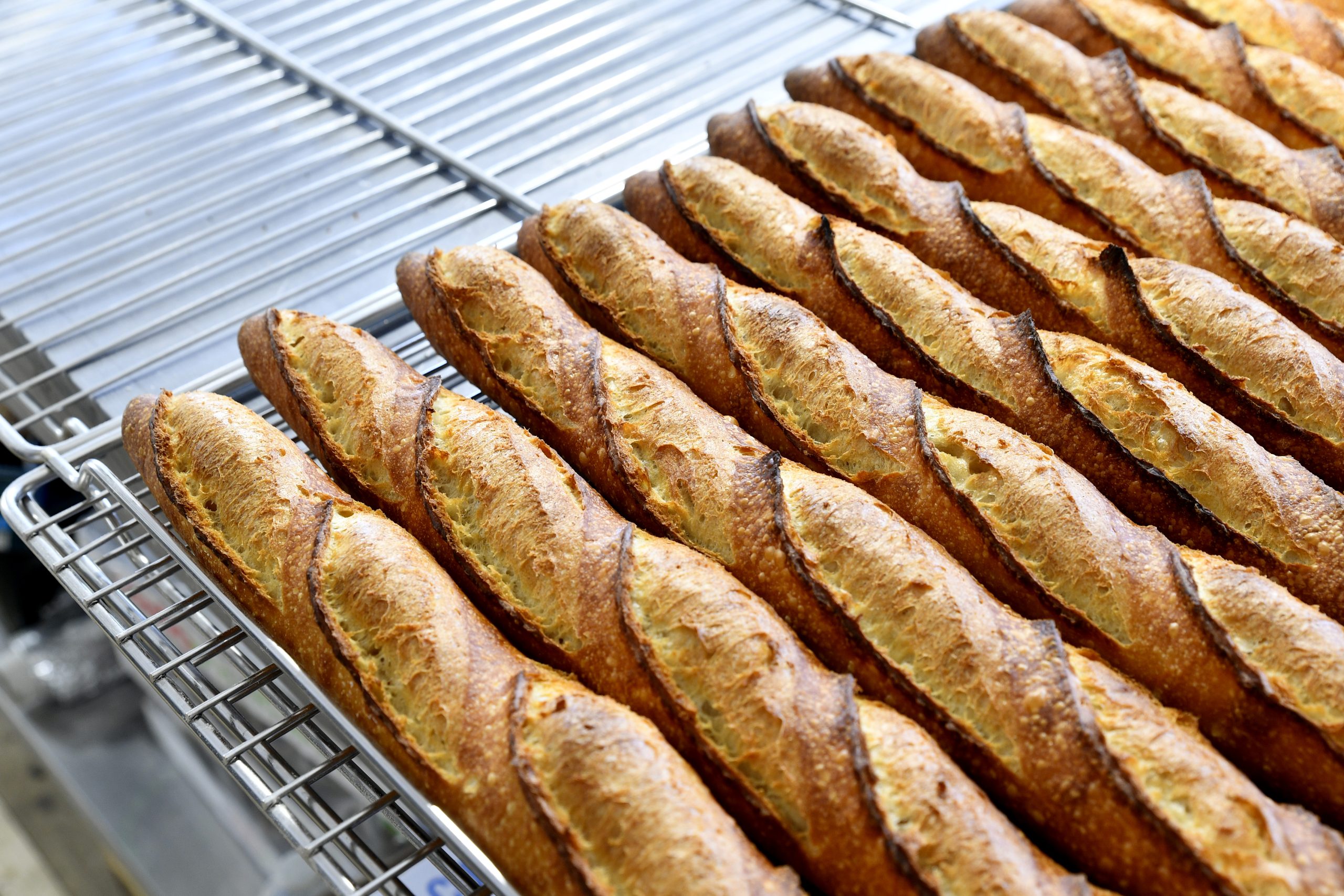 Résultats du Concours National de la Meilleure Baguette de Tradition Française 2026 – Communiqué de presse