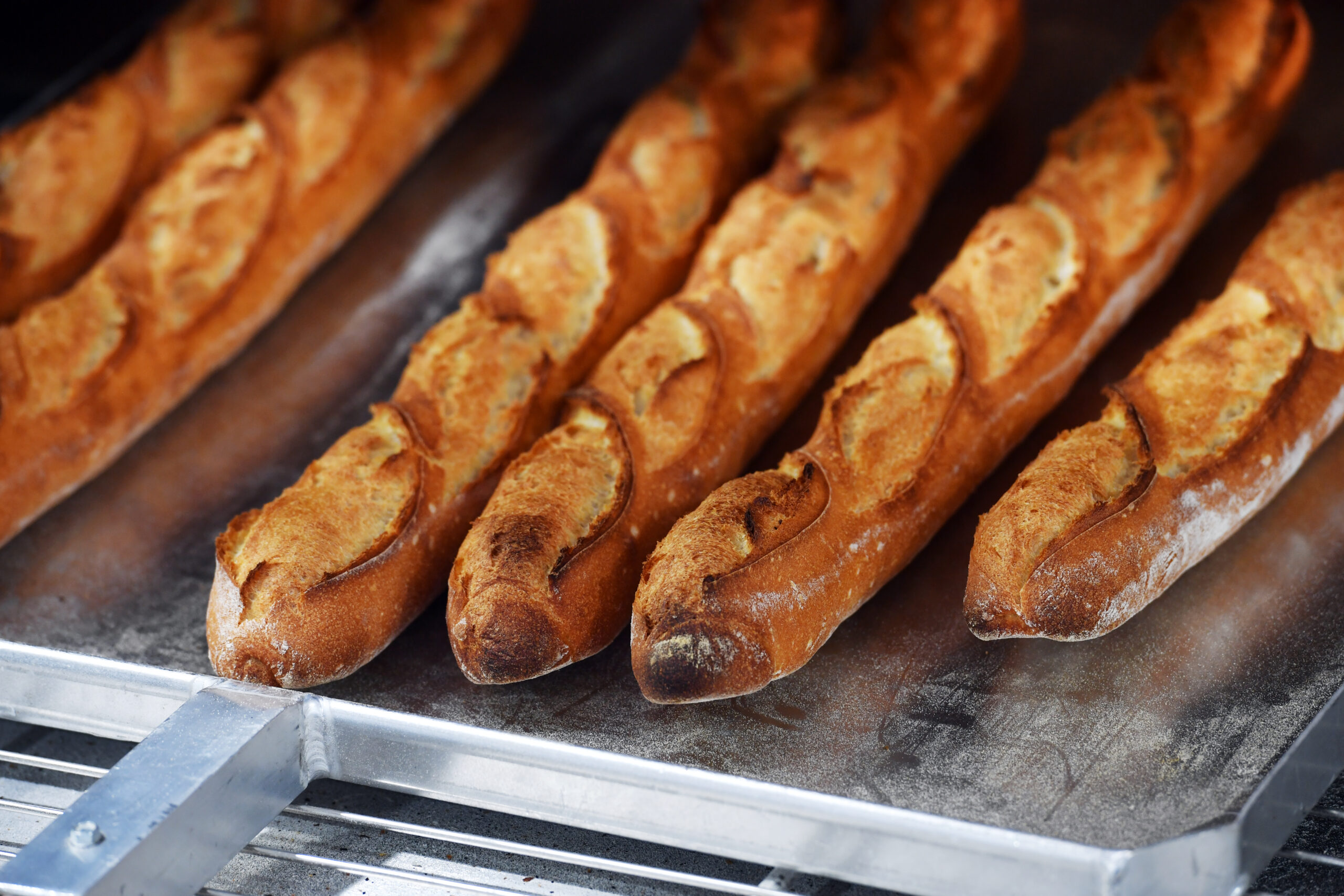 Sondage CNBPF/IFOP – Image du pain et de la boulangerie auprès des Français