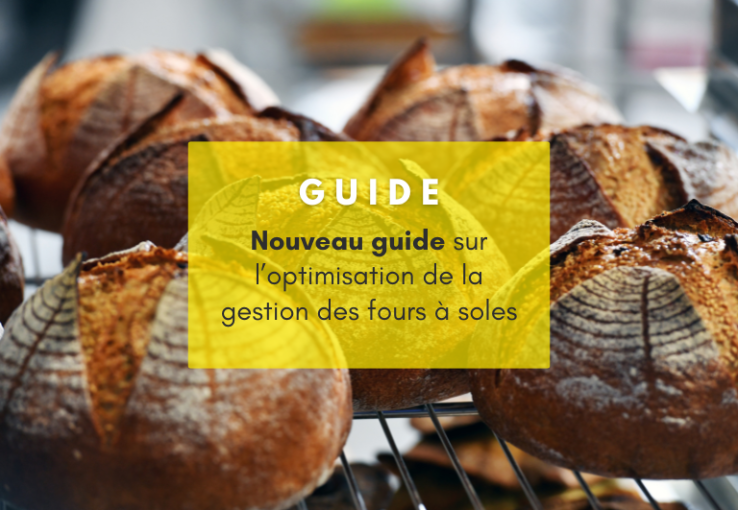Un nouveau guide sur l’optimisation de la gestion des fours à soles est disponible 